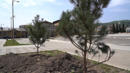 В Дербенте началось озеленение городской площади