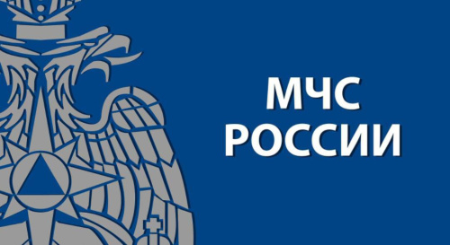 МЧС предупреждает о риске роста пожаров из-за аномальных морозов в России