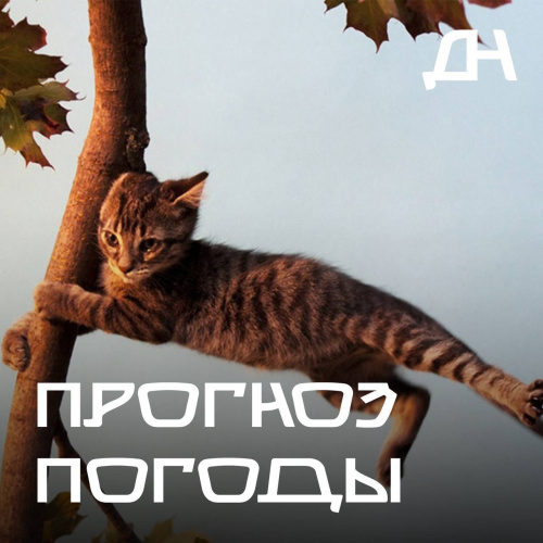 Штормовое предупреждение